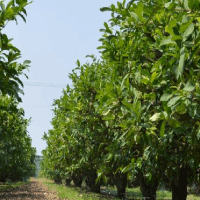礦用扒渣機制造商緊鑼密鼓加班出貨中。。。